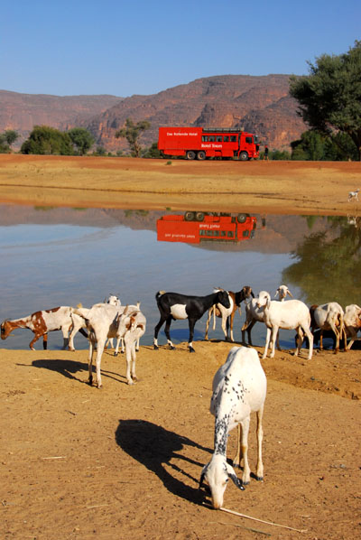 Waterhole with goats and Rotel