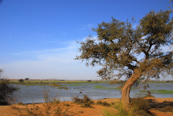Niger River near Ansongo