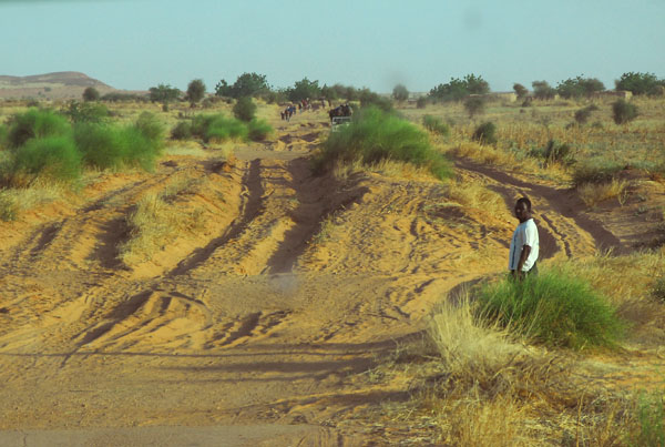 Deeply rutted sand track between Mali and Niger