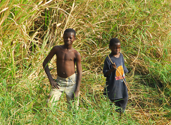 Boys in the tall grass by a stream, Parakou