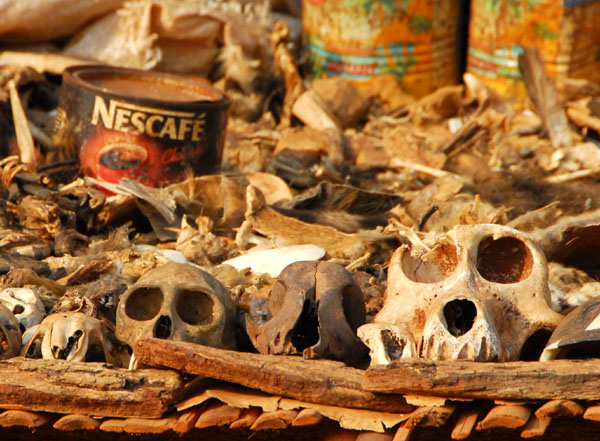 Part of the market in Abomey is dedicated to Vodon (voodoo) paraphenalia
