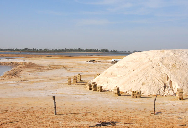 Salt recovered from the Sin-Saloum Salt Marshes near Fatick-Kaolack, Senegal