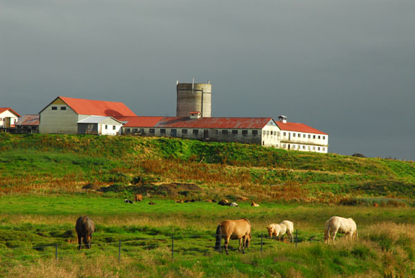 A farm along the Ring Road, Austur-Landeyjar