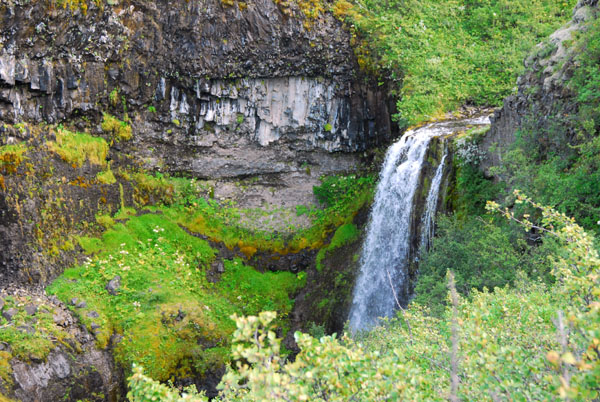The stream along the start of the Skaftafellsheii loop trail has lots of small waterfalls