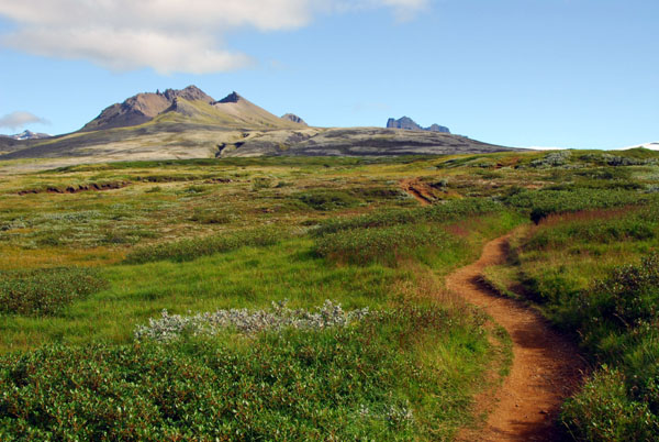 The lower part of the Skaftafellsheiši loop to Kristķnartindar is a gentle climb