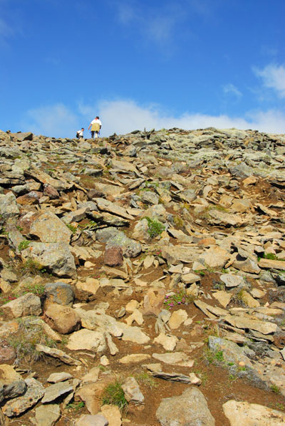 The higher part of the trail gets more difficult