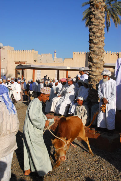 Nizwa livestock market