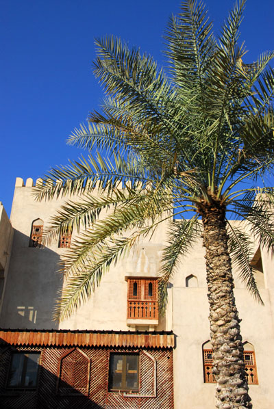 Palm tree, Nizwa souq