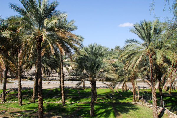 The oasis around Nakhl Fort