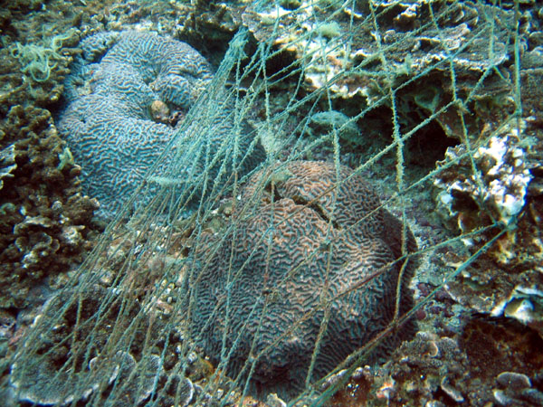 Lost fishing net, Dimaniyat Islands Marine Preserve...hmmm