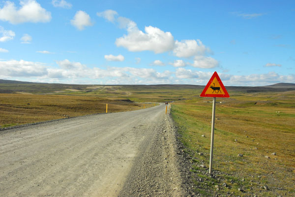 Reindeer warning sign along an unpaved section of the Ring Road, NE Iceland ca 110km east of Mvatn