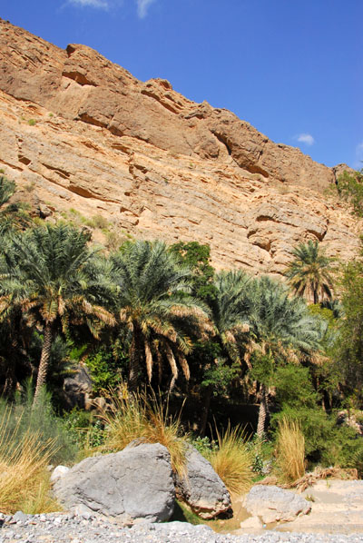 Palm oasis, Wadi Bani Awf