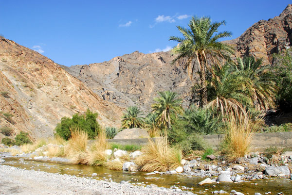 Palms and water, Wadi Bani Awf, Oman
