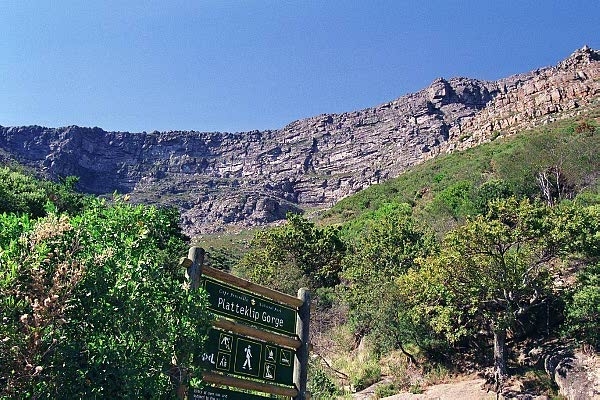 Plattekip Gorge, Table Mountain