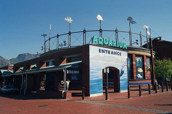 Cape Town Aquarium, Victoria & Alfred (V&A) Waterfront