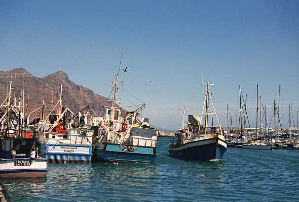 Fishing harbor at Hout Bay