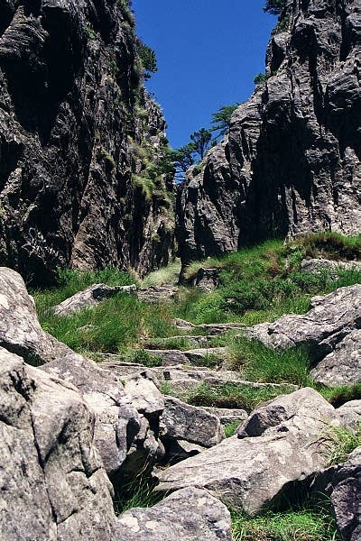 Climbing Platteklip Gorge, Table Mountain
