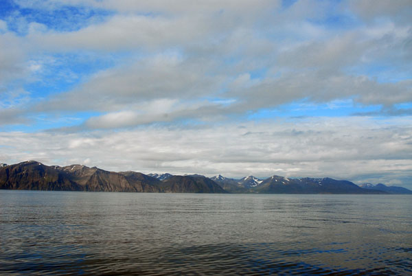 Later in the morning we got some blue sky - but no big whales