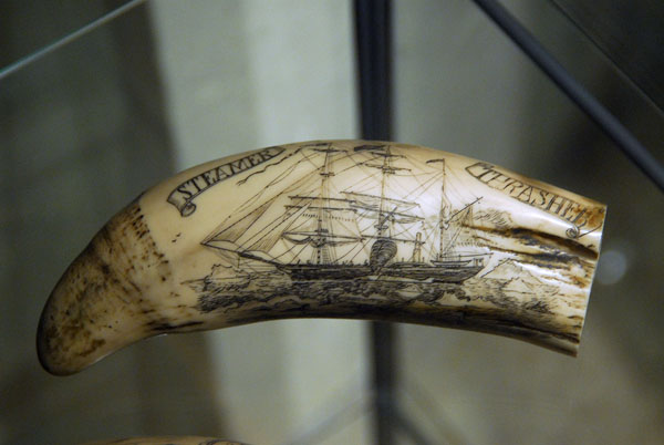 Scrimshaw, Hsavk Whale Center