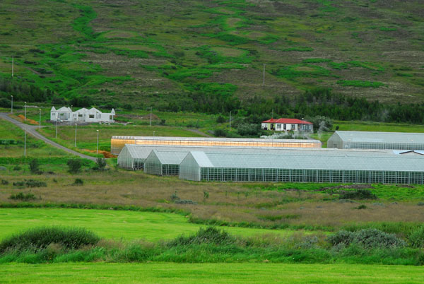 Geothermically heated greenhouses along Rte 87 south of Hsavk