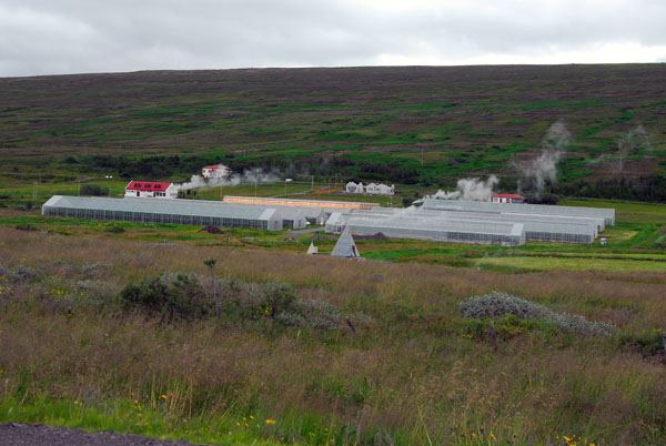 Geothermically heated greenhouses along Rte 87 south of Hsavk