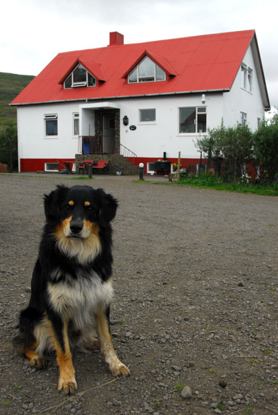 Kiafell, a guest farm outside Reykjavik