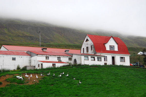Farmhouse along Iceland Route 1 outside Akureyri