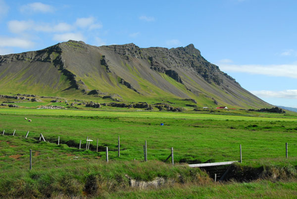 Fertile patch of Iceland