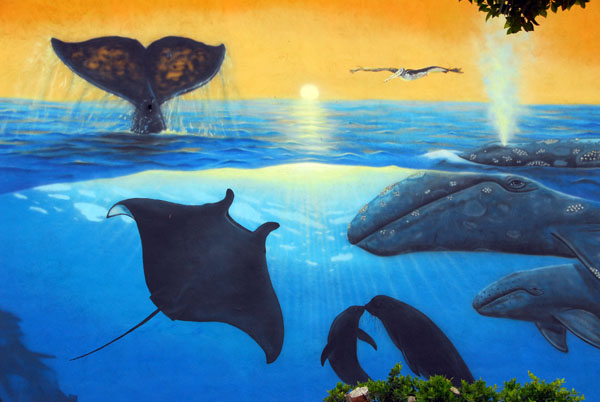 Seascape mural by the artist Wyland, La Paz
