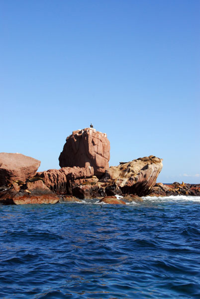 Los Islotes, Archipelago of Espiritu Santo