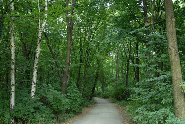 Tiergarten