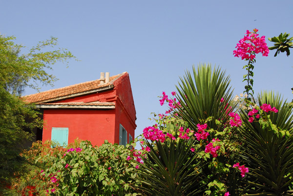 Tropical flowers and well kept building, Île de Gorée
