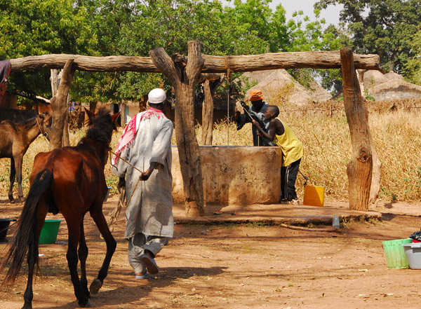 Man bringing a horse for water at the village well, Senegal