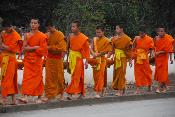 The monks from the peninsula temples walk along Thanon Xieng Thong