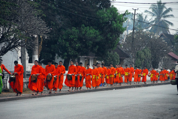 Long line of orange robed monks proceeding down Thanon Xieng Thong