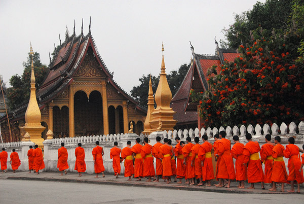 Monk procession passing a temple, Luang Prabang