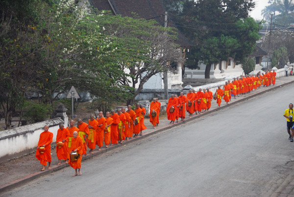 Long line of orange robed monks