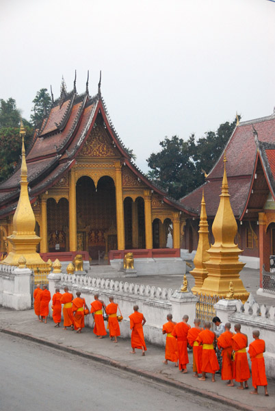 Monk procession, Luang Prabang