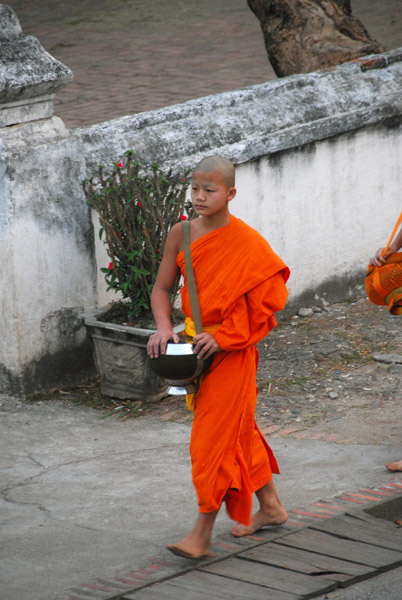 Young novice, Luang Prabang