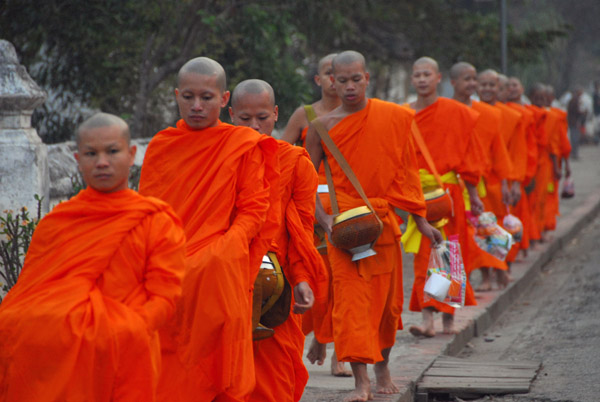 Freshly shaven monks out collecting alms, Luang Prabang