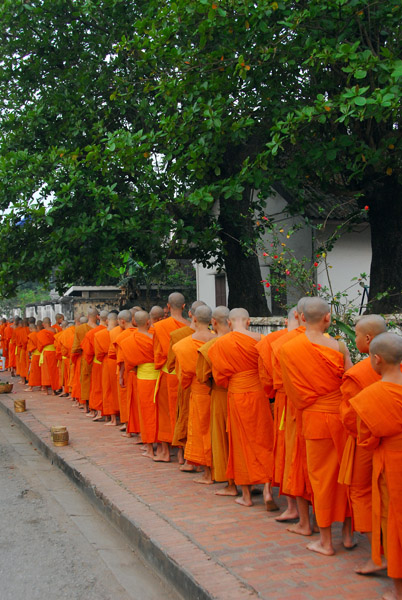 Hundreds of monks lined up