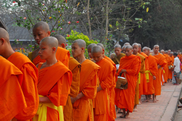Monks in front of the Luang Prabang school