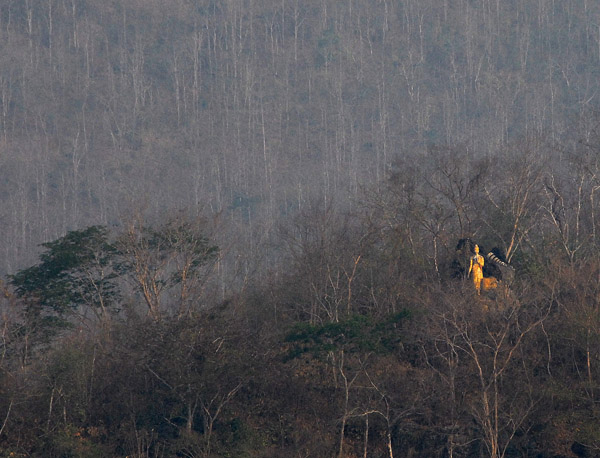 A golden Buddha stands out among the dry trees on a hillside