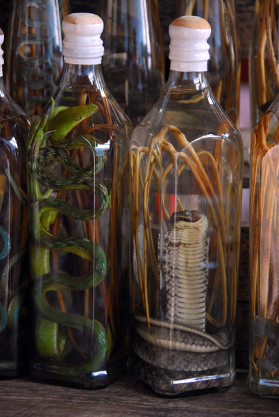 Snakes preserved in bottles of Lao Lao