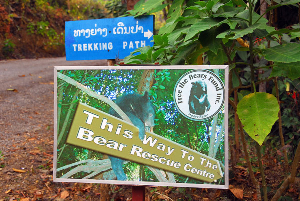 This way to bear rescue center