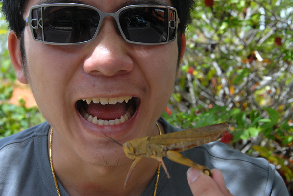 Mmmmm...Thai food! :)