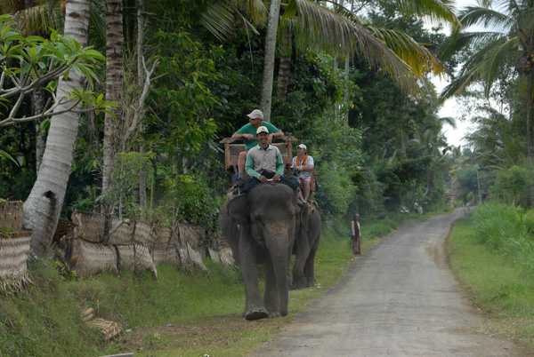 Elephant trekking, Bali