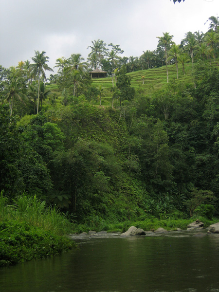 Ayung River, Bali