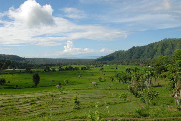 Distant sea view across a verdant valley of rice fields between Culik and Abang, NE Bali