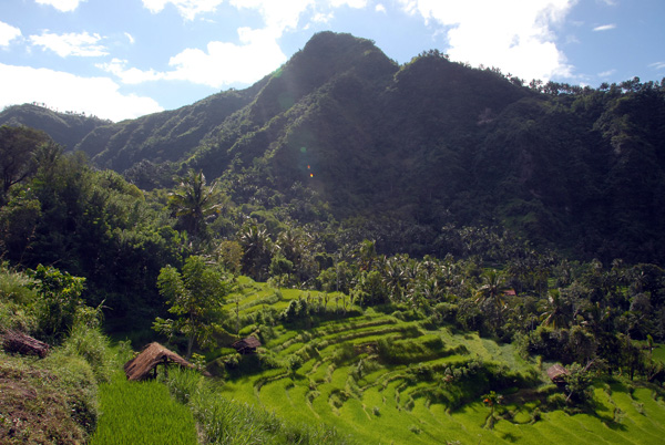 Terraced fields between Culik and Abang, NE Bali